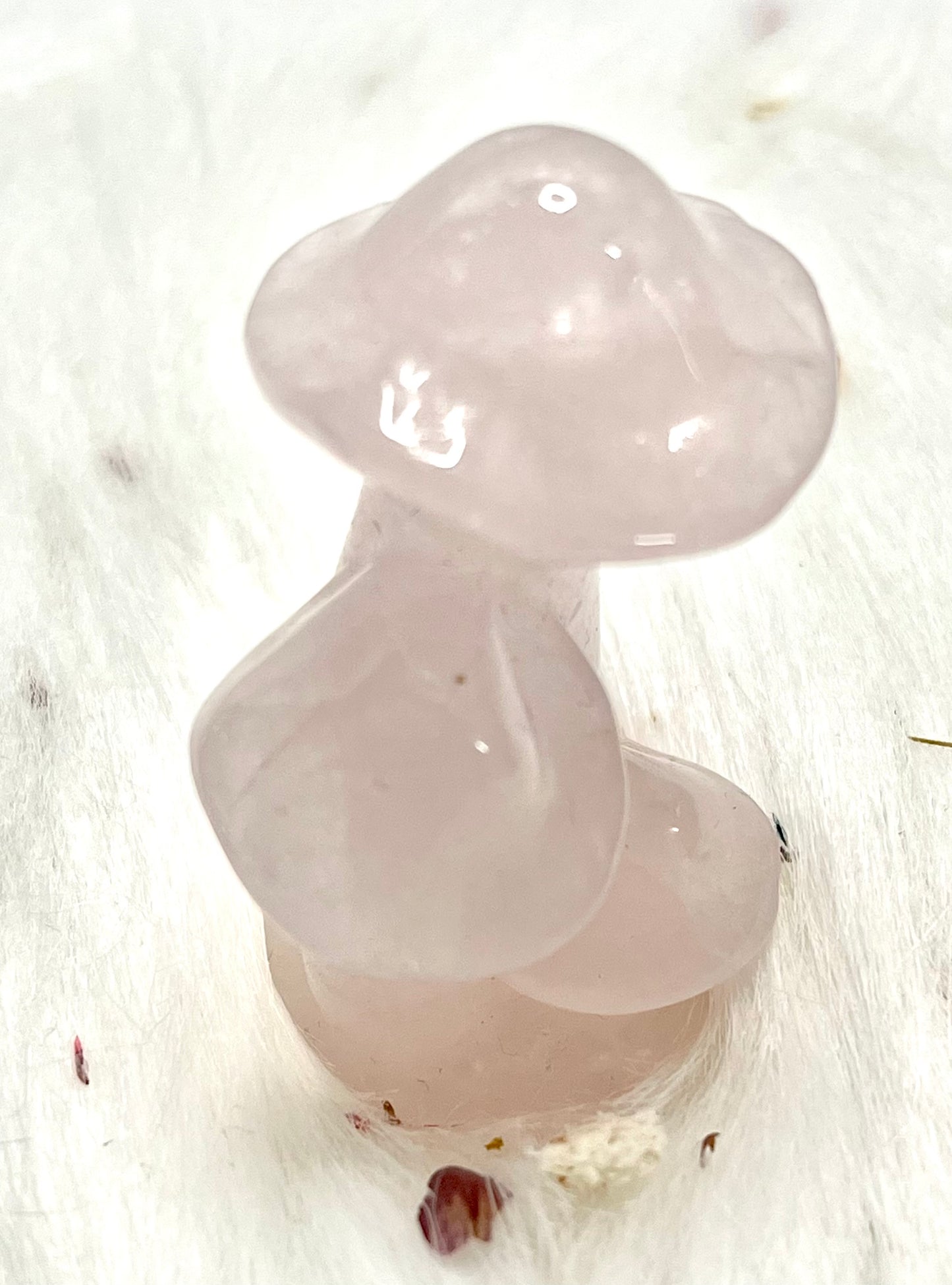 1 inch Triple Mushroom Carving